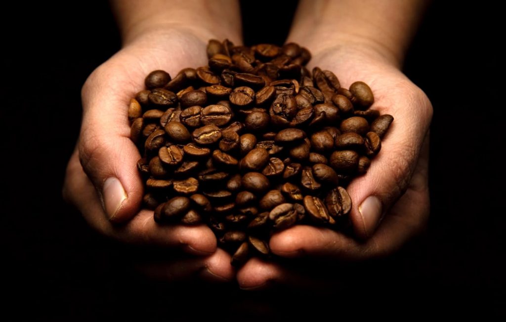 Hands full with coffee beans