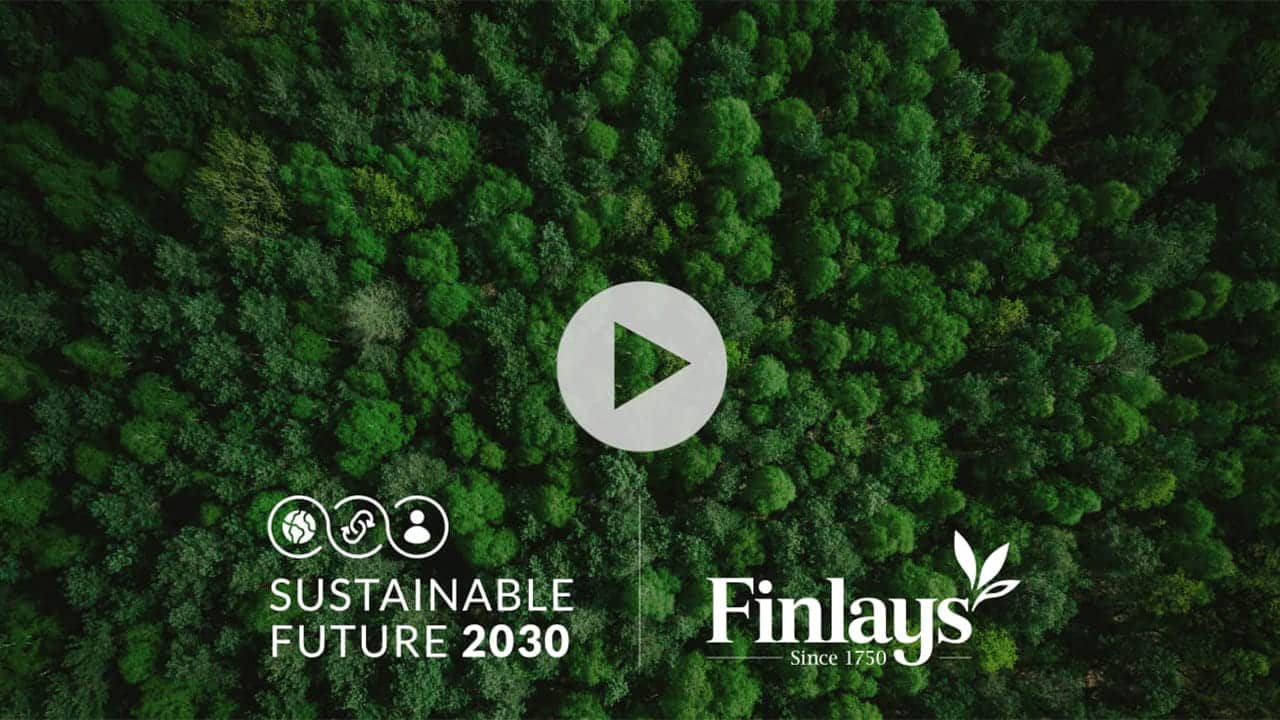 Sustainability video cover 2023